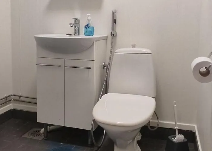 公寓 Nummen Vintti, Vanhan Rauman Kupeessa 劳马